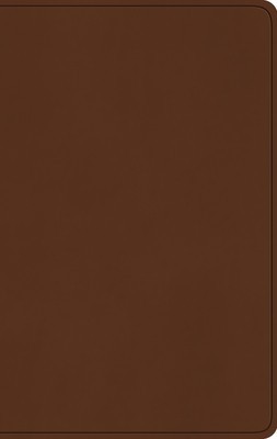 ESV Large Print Value Thinline Bible (Trutone, Camel) foto