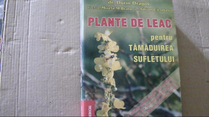 Dorin Dragos s.a. - PLANTE DE LEAC PENTRU TAMADUIREA SUFLETULUI ( 2002 )