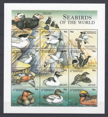 Dominica - Fauna - PASARI ACVATICE - BL - MNH foto