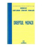 Gheorghe Filip, Cristina Badea, Romeo Butnariu - Dreptul muncii -