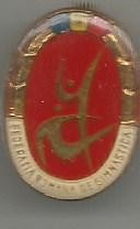 Insigna - FEDERATIA ROMANA DE GIMNASTICA foto