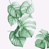 Set de pictura cu numere Fuumuui, vopsea in ulei, multicolor, 25 X 25 cm
