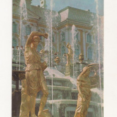 FA48-Carte Postala- RUSSIA- Sankt Petersburg, Palatul Petrodvorets, necirculata