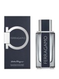 Apa de toaleta Salvatore Ferragamo Ferragamo for Men, 100 ml, pentru barbati