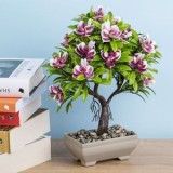 Ghiveci decorativi cu planta artificială Bonsai și flori roz, CMCLASS