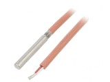 Senzor Temperatură Pt100 Clasa B &Oslash;5,7x28mm