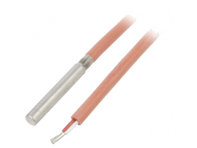 Senzor Temperatură Pt100 Clasa B &Oslash;5,7x28mm