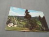 CARTE POSTALA - PREDEAL CIRCULATA