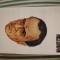 Jonathan Miller McLuhan