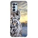 Husa compatibila cu Oppo A5 (2020) model Owl, Silicon, TPU, Viceversa, Transparent, Carcasa