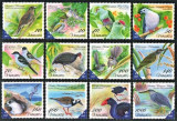 Vanuatu 2012 - Pasari, fauna, serie neuzata