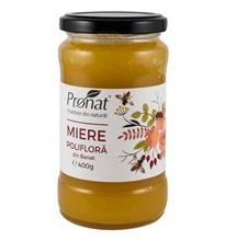 Miere Poliflora Pronat 400gr Cod: PRN241 foto