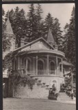 CPIB 22426 - CARTE POSTALA - SINAIA. CASA PIONIERILOR, RPR