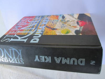 Stephen King - Duma Key, CARTONATA foto
