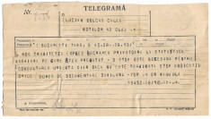 S120 Telegrama data de Sabin Manuila 1938 director Institutul Central Statistica foto