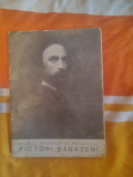 Pictori banateni