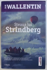 STEAUA LUI STRINDBERG - JAN WALLENTIN foto