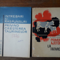 Cresterea taurinelor + Primul ajutor la fatare / R4P1F