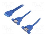 Cablu USB-USB 3.0 19pin AKYGA 0,65m