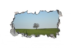 Autocolant decorativ, Gaura in perete, Natura si peisaje, Multicolor, 85 cm, 2326ST-3 foto