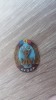 QW9 N5 29 - insigna - tematica sport - comunism - RPR - AVSAP, Romania de la 1950