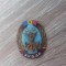 QW9 N5 29 - insigna - tematica sport - comunism - RPR - AVSAP