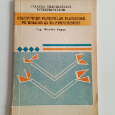 Cultivarea plantelor FLORICOLE pe balcon și în apartamente - Nicolae Lupșa