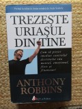 Trezeste uriasul din tine - Anthony Robbins