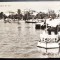 Tulcea - Vedere din port - RPR 1961 - tip fotografie, circulata la Campina, timbru intact, stampile lizibile