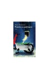 Puzzle cu pețitoare Ohara Donovetsky Paperback brosat carte Trei
