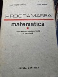 Programarea matematica. Programarea parametrica si neliniara - Gheorghe Mihoc