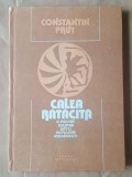 Constantin Prut - Calea rătăcită. O privire asupra artei populare rom&acirc;nești (1991)