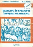 Cumpara ieftin Exercitii In Sprijinul Insusirii Gramaticii - Caliopia Hodorogea, Olga Bojoi