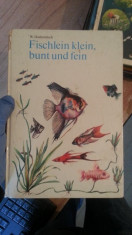 Fishclein klein, bunt und fein &amp;amp;#8211; W. Dazkewitsch foto