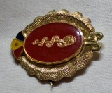 SANITAR - garzile patriotice - Comandant de grupa, anii 1970, insigna perioada socialista