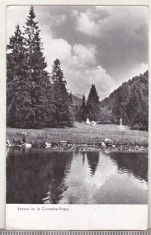 bnk cp Vedere de la Cumpana-Arges - circulata