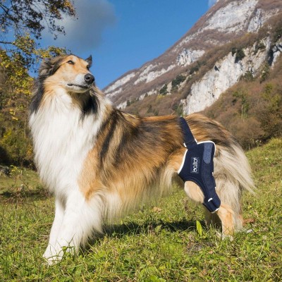 Balto - Genunchieră simplă cu atelă, pentru c&amp;acirc;ini S foto