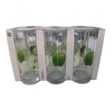Set 48 Pahare Apa Sticla 270ml Classico Apple 91206D495 CNN DNC52892