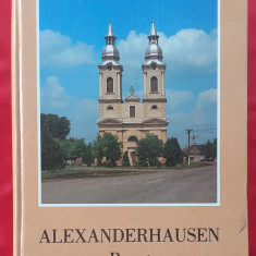 (C523) NIKOLAUS HANS HOCKL / SEPP SCHMIDT - ALEXANDERHAUSEN (MONOGRAFIE SANDRA)