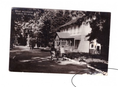 CP Baile Moneasa - Vedere din parc, RPR, circulata 1961, stare relativ buna foto