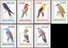 MOLDOVA 1993, Fauna - Pasari, serie neuzata, MNH foto