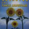 Secretul unei familii armonioase &ndash; Virginia Scott