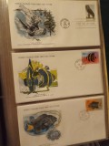 FAUNA WWF - 3 PLICURI PRIMA ZI