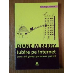 IUBIRE PE INTERNET, CUM SA-TI GASESTI PARTENERUL POTRIVIT de DIANE M. BERRY