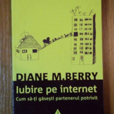 IUBIRE PE INTERNET, CUM SA-TI GASESTI PARTENERUL POTRIVIT de DIANE M. BERRY