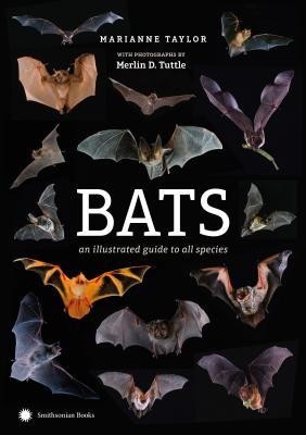 Bats: An Illustrated Guide to All Species foto