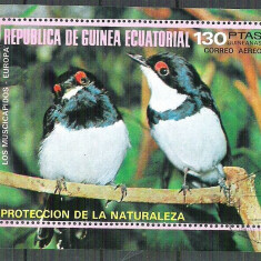 Eq. Guinea 1976 Birds in Europe, perf. sheet, used M.004