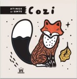 Atinge si simte. Cozi - DPH