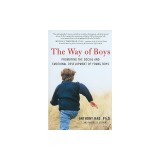The Way of Boys: Promoting the Social and Emotional Development of Young Boys