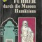 F&uuml;hrer durch die Museen Rum&auml;niens